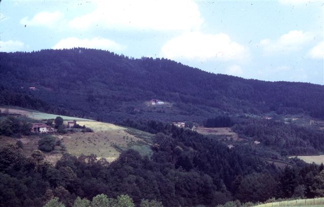 en 1967